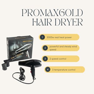 Promaxgold Hair Dryer (3000W)