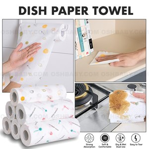 DISH PAPER TOWEL