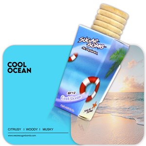 AIR PURE - COOL OCEAN ( 9551010880195 )
