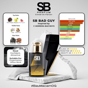 SB PARFUM- SB BAD GUY EDP 30ML
