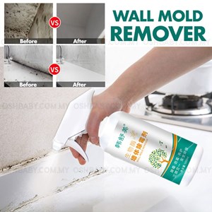 WALL MOLD REMOVER