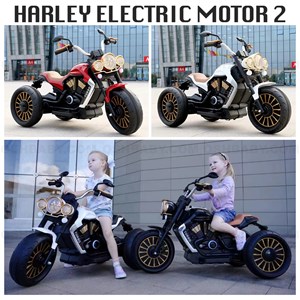 HARLEY ELECTRIC MOTOR 2