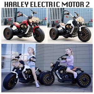 HARLEY ELECTRIC MOTOR