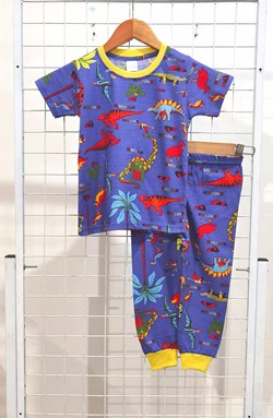 BABY 6M - 18M Pyjamas DINOSAURS PARK BLUE (MF)