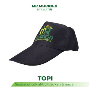 TOPI