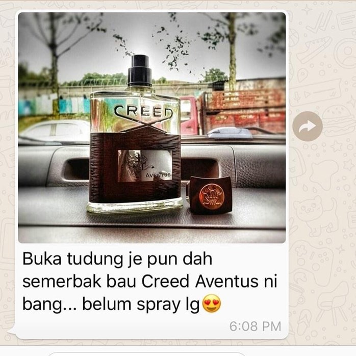 Bau best sale creed aventus