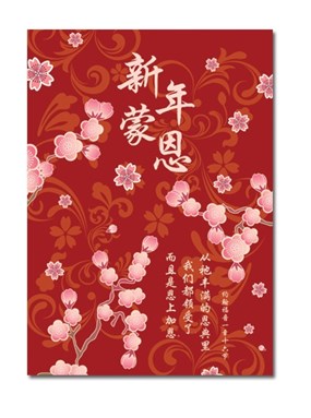 Chinese New Year Bulletins (Chinese)