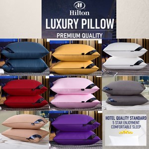 Hilton Pillow 1000gm