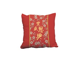 CNY Cushion Case