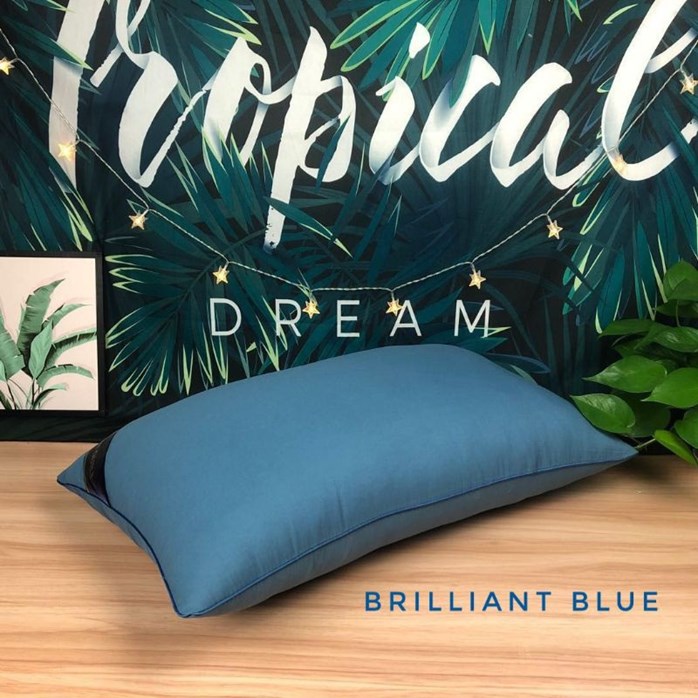 Hilton Pillow 1000gm