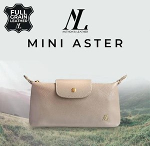 ANTHON'S LEATHER (MINI ASTER )