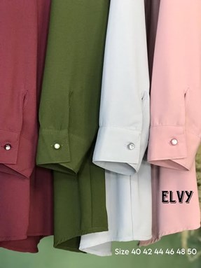 ELVY