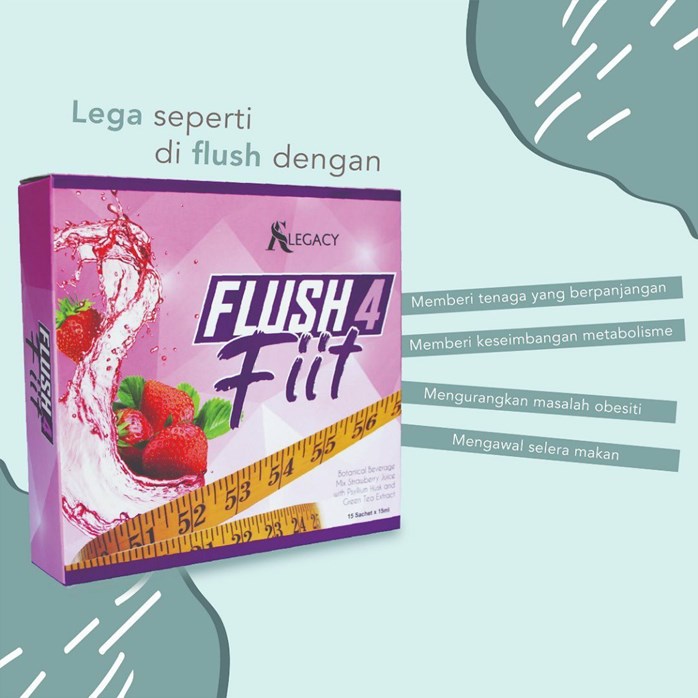 Flush 4 Fiit Zs Legacy