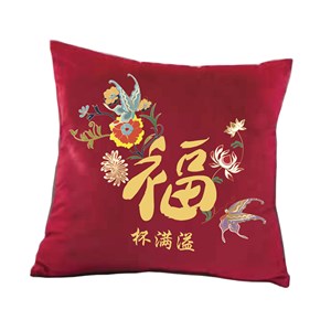 CNY Cushion Case