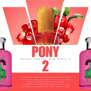 RL PONY 2