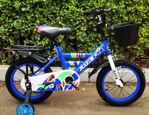 BICYCLE X6B