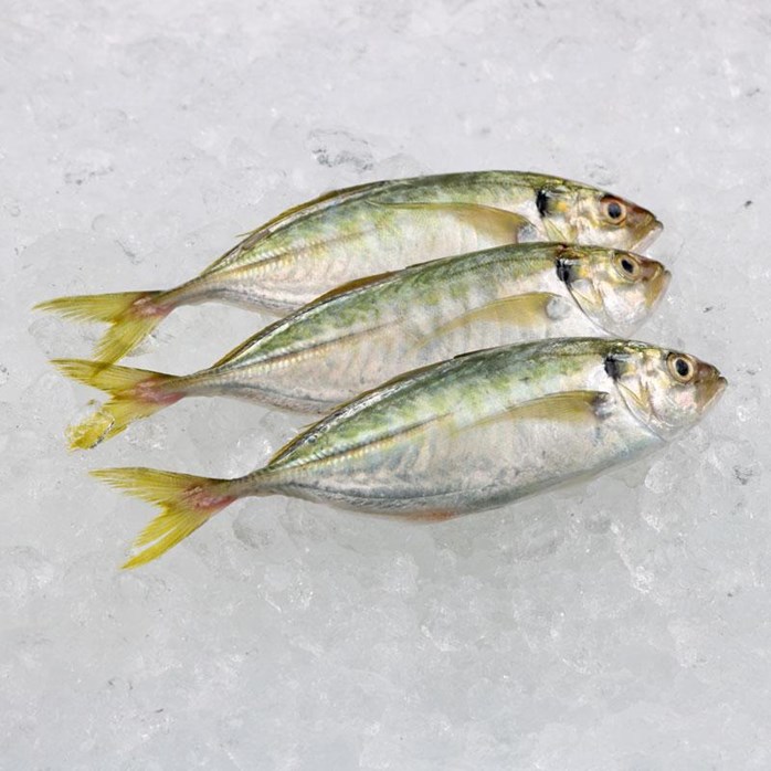 Ikan Selar Besar Gmfreshdelivery