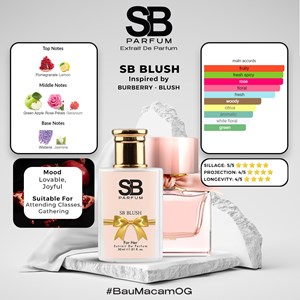 (MM) SB BLUSH Inspired By BURBERRY BLUSH 30ML EDP
