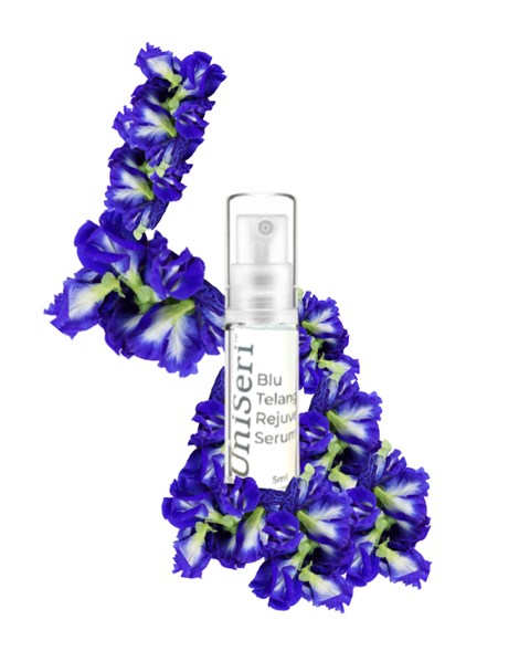 Mini Blu Telang Rejuvenate Serum (5ml)