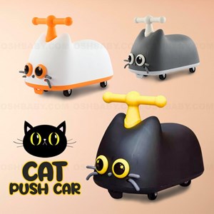 CAT PUSH CAR