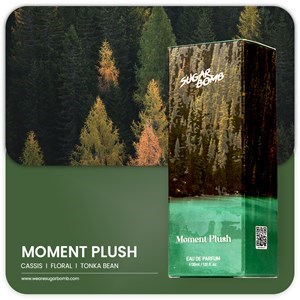 MOMENT PLUSH 30ML