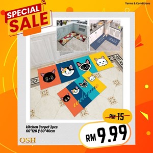 Kitchen Carpet With Antislip 2pcs set