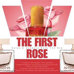 DG THE FIRST ROSE