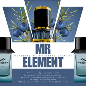 BY MR ELEMENT