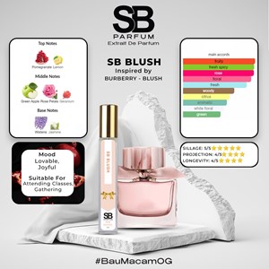 10ML SB BLUSH