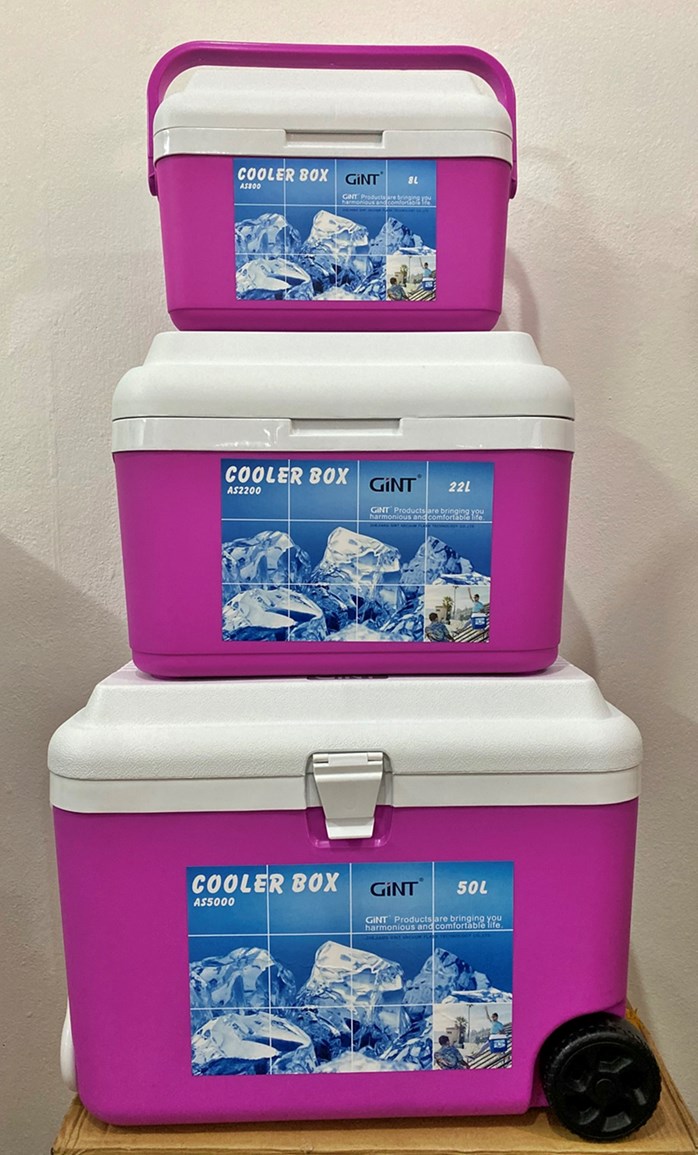 COOLER BOX GINT - PURPLE | SKY HOMEWARE