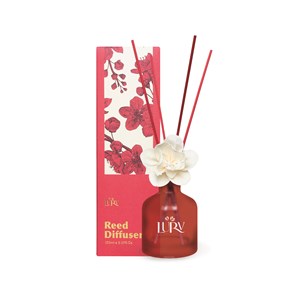 REED DIFFUSER