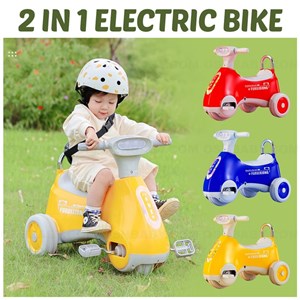 2 IN 1 ELECTRIC BIKE
