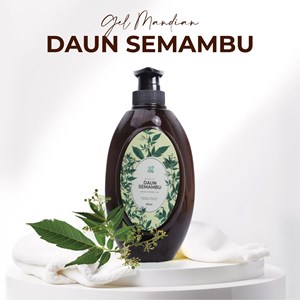 GEL MANDIAN DAUN SEMAMBU