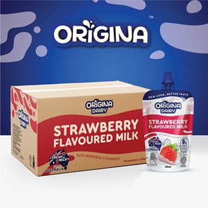 STRAWBERRY MILK | CARTON