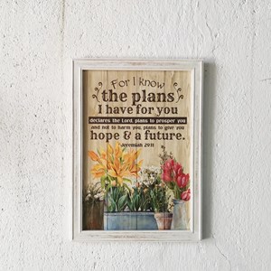God's Plan For You