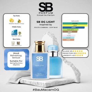 SBP DG LIGHT 30ML - RETAIL RHQ