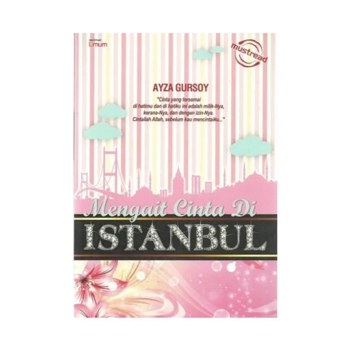 Mengait Cinta Di Istanbul By Ayza Gursoy